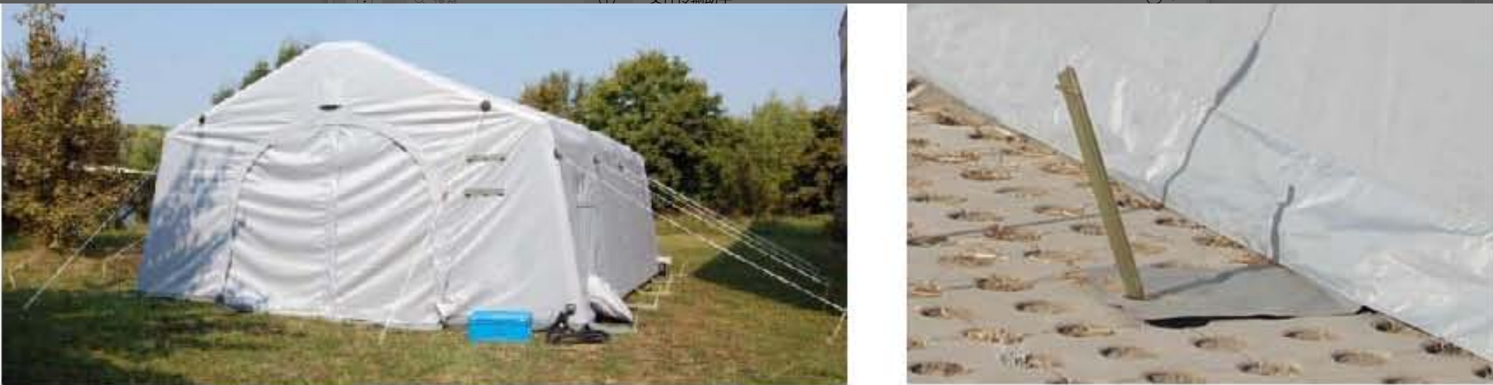 Tent fixing system with guy lines and ground pegs