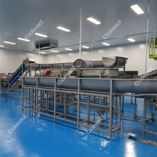 Clean vegetable processing line vegetable processing