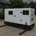 Silent Generator 56 KVA-Selbstschutzdieselgenerator Set