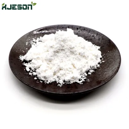 High Quality Saw Palmetto Extract Saw Palmetto