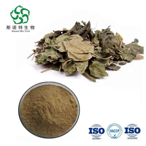 Hot Sell Pure Natural Mulberry Leaf Extract Powder