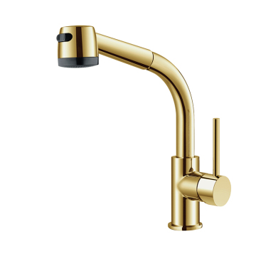 Polished Brass Kitchen Faucets With Pull-Out Spray
