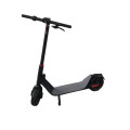 10 Inch Offroad Electric Scooter