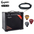 Kaysen 60W Gitarren -Audio -Lautsprecher