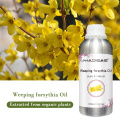 گیاه با کیفیت بالا Forsythia assansa روغن اسانس گیاهی به صورت عمده