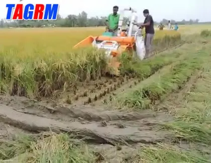Small rice combine harvester in west bengal