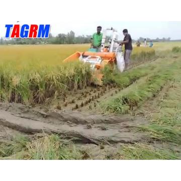 Pequeño arroz combinado la cosechadora en Bengala Occidental