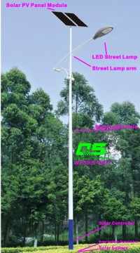 WPSRR-8903 3~15m Municipal Road Hot DIP Galvanized Steet Light Pole style