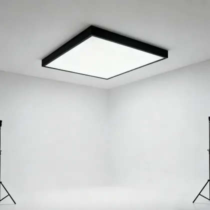 Modern Ceiling Lamp for Home Decoration