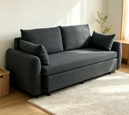 Convertible Living Room Sofa Bed