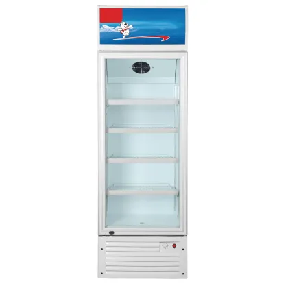 256L LED Display Single Door Showcase for Pepsi Beverage Cooler from Chinese Manufacturer