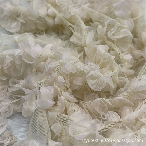 Lace Ribbon Embroidered Fabric