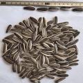 Wholesale Top Quality Sunflower Seeds