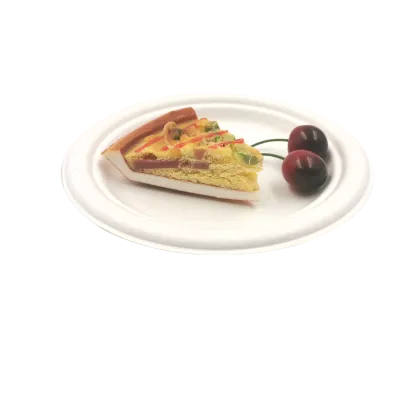 Customized party paper tableware bagasse dinner plate