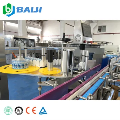 Fully Automatic Glass Bottle Spring Mineral Water Bottling Plant