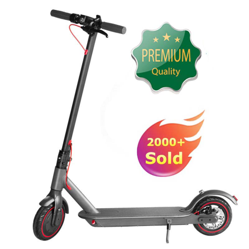 The most popular 2 wheel electric scooter