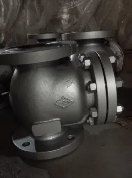 API6D Stainless Steel Swing Check Valve