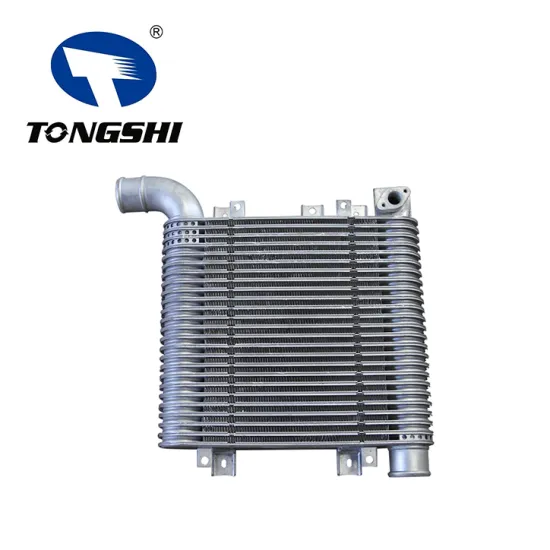 Air Intercooler for Hyundai Santa Fe II CM 2.2 CRDi