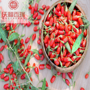 Goji-bes / wolfberry / nieuwe biologische goji-bessen