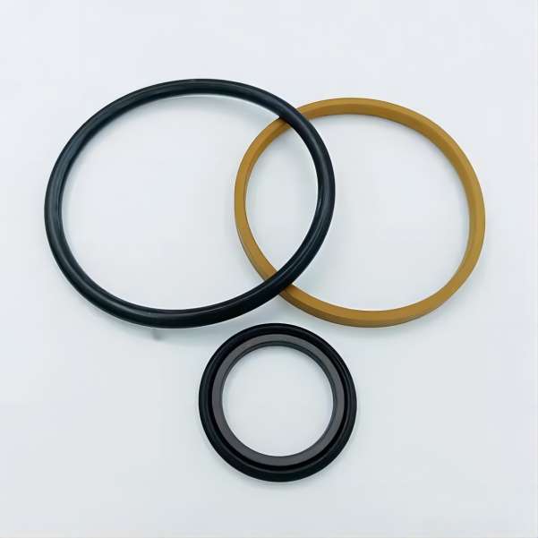 PTFE dust ring2