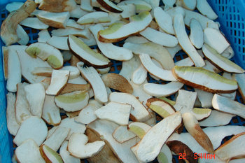 slice boletus edulis