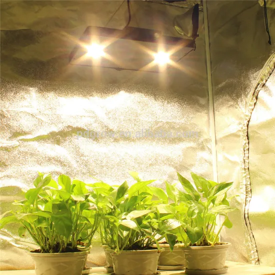 wholesale hot Sale full Spectrum 90Degree 4 reflector cup 300w cob led grow light for indoor plants