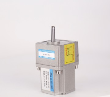 Taili 60/60-70 Series 24V/48V High Torque BLDC DC Brushless Gear Motor 10-30W/40-60W