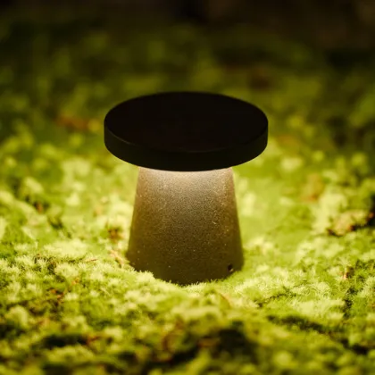 LEDEAST T-BT005 DC24V 6W IP65 Outdoor Mushroom-shaped LED Footlight