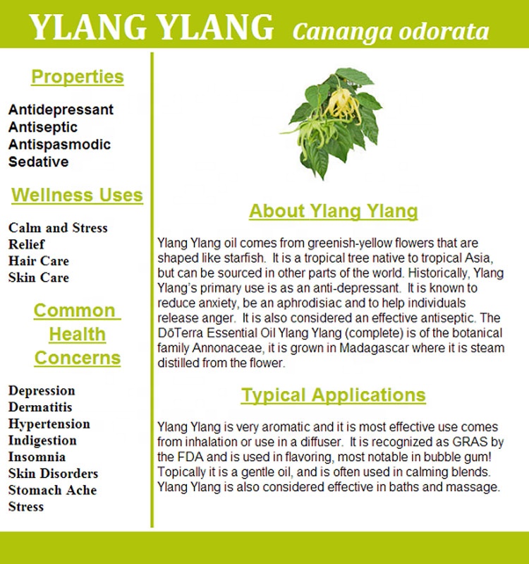 Нархи таъминоти завод 100% синфи табобати табобатии ylang ylang нафт барои қалъаи шамъ