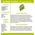 Нархи таъминоти завод 100% синфи табобати табобатии ylang ylang нафт барои қалъаи шамъ