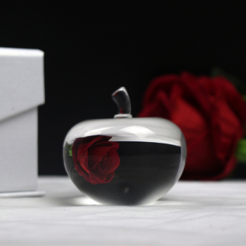 3D Laser Apple Shape Crystal Paperweight Souvenirs