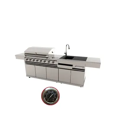 High Quality 304 Stainless Steel Kitchen Build in Gas Cabinet with Faucet