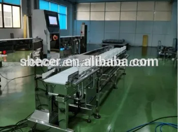 CWM-220 Weight sorter machine for Seafood
