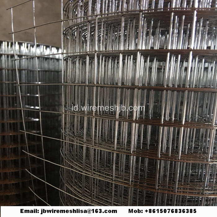 Dilas wire mesh galvanis dilas wire mesh roll