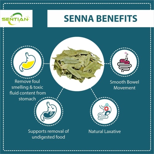 Natural Sennosides Powder Senna Leaf Extract