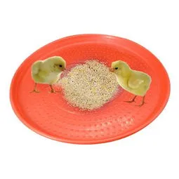 Chicken Feeder Tray: Poultry Farming Supply for Chick Feeding
