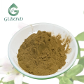 Extracto de Bacopa Monnieri para suplementos dietéticos