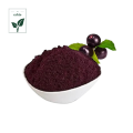 Extrato de Bilberry para melhorar o extrato de visão