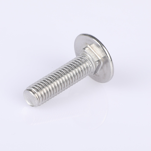 Paslanmaz çelik taşıma cıvataları