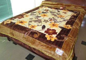 Double Ply Breathable 100% Polyester Blanket Printed With A