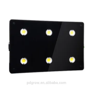 Hot Selling Factory Price Full Spectrum COB LED Grow Lights 400w 600w 800w