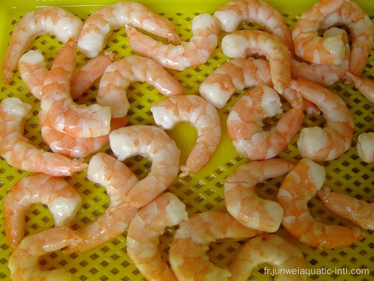 crevettes blanches vannamei fraîches surgelées