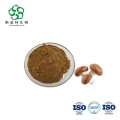 Hochwertiger Shiitake -Extrakt -Pulverpolysaccharid