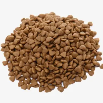 Pet food extrusion machine dog food machine line