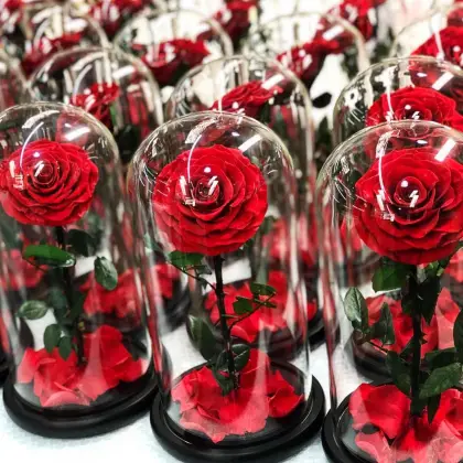 Factory Direct: 2024 Hot Selling Eternal Rose Preserved Flower in Glass Dome