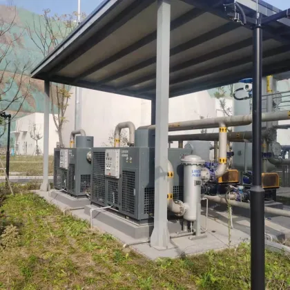 Explosion Proof Gas Generation Equipment: Refrigeration Dryers for Dehydration