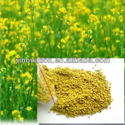High quality guarantee nutritious bee pollen