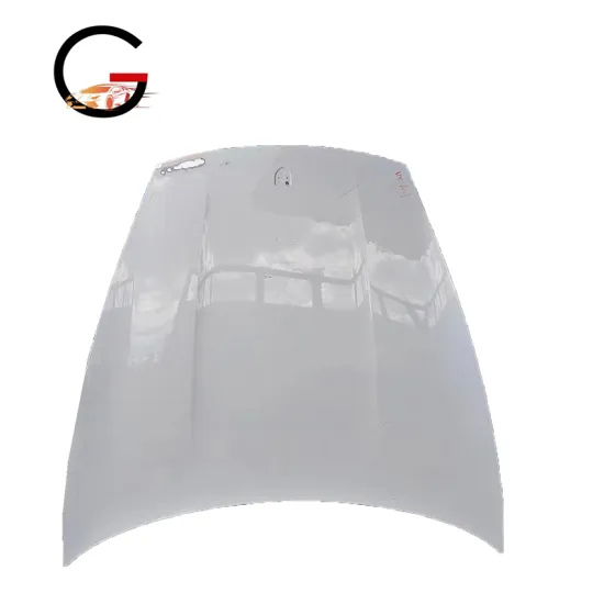 2022-2023 Porsche Taycan Hood Car Cover Accessories