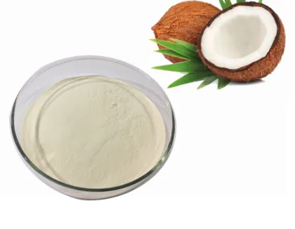 Organic Coconut Milk Powder Bulk