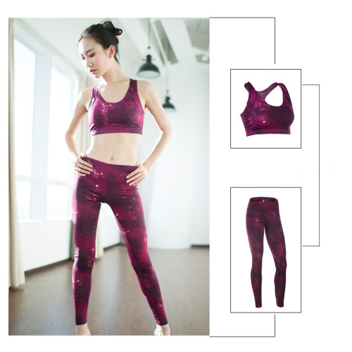 Women Sports Tights Quick-Dry Breathable Slim Leggings